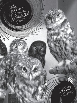 cover image of The Mirror of Simple Annihilated Souls